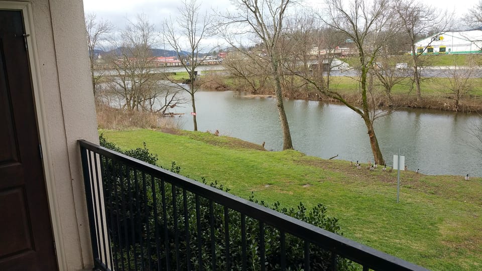Back Porch