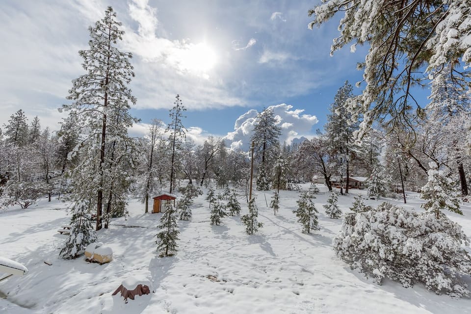 A winter wonderland, we get snow on occasion in the winter.  