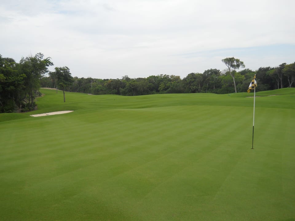 Golf view