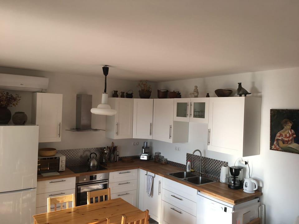 A modern kitchen design juxtaposed w/ collectibles and portrait of the owner