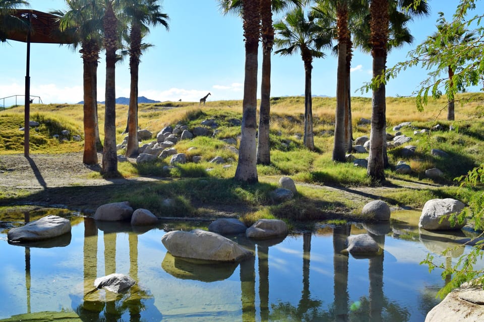 Living Desert Zoo