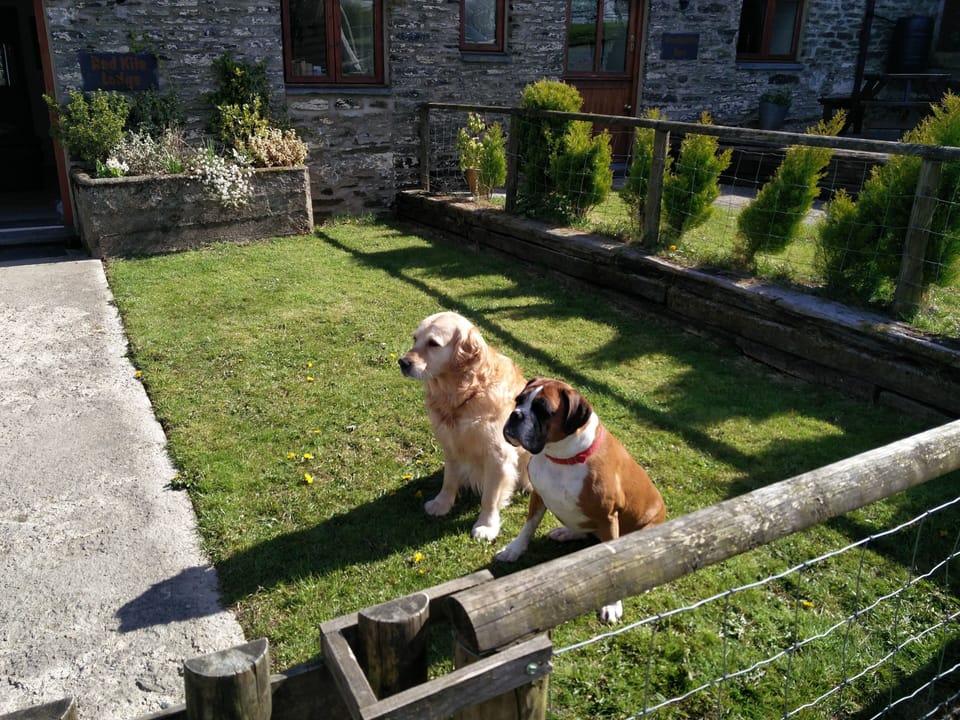 Dog proof, private garden.
