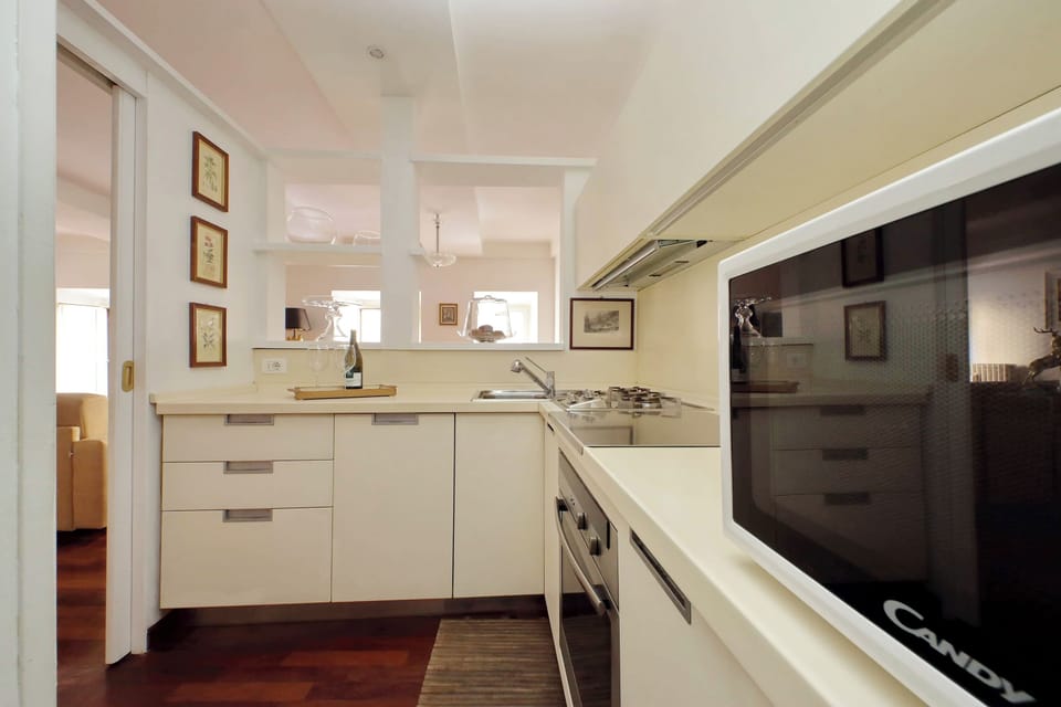 the full equipped kitchen with, fridge, oven, microwave and dish washer