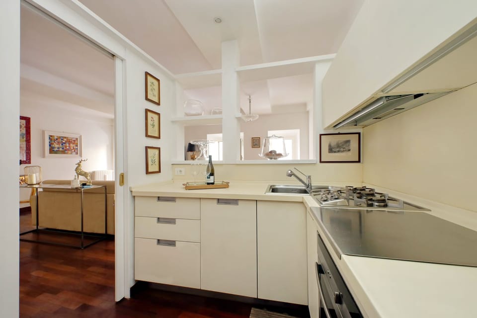 the full equipped kitchen with, fridge, oven, microwave and dish washer