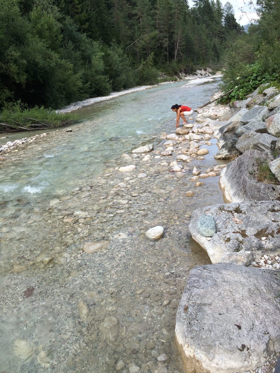 Local river in summer