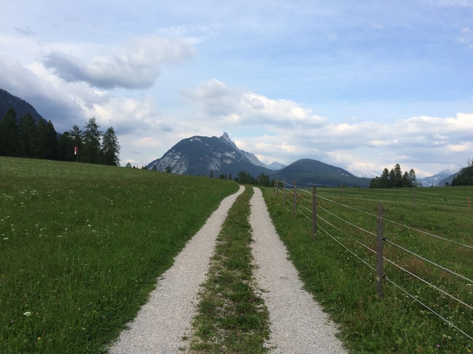 Open space near the house