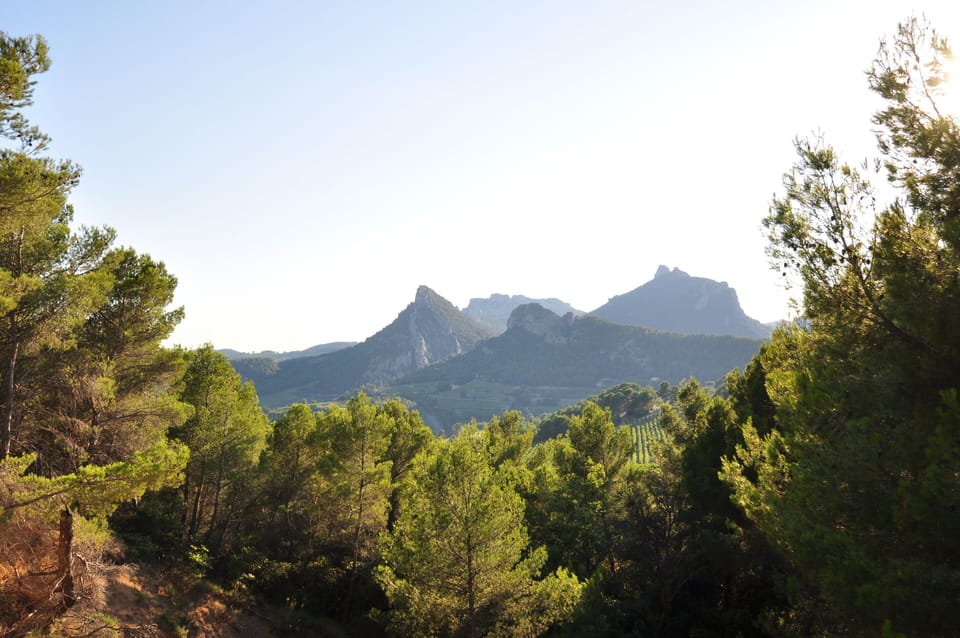 landscape around us - les dentelles de Montmirail