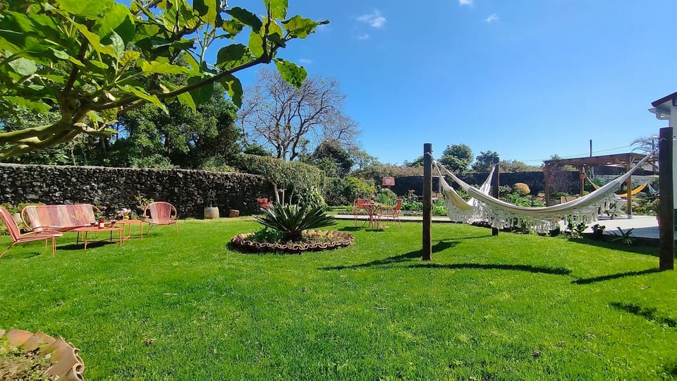 New garden