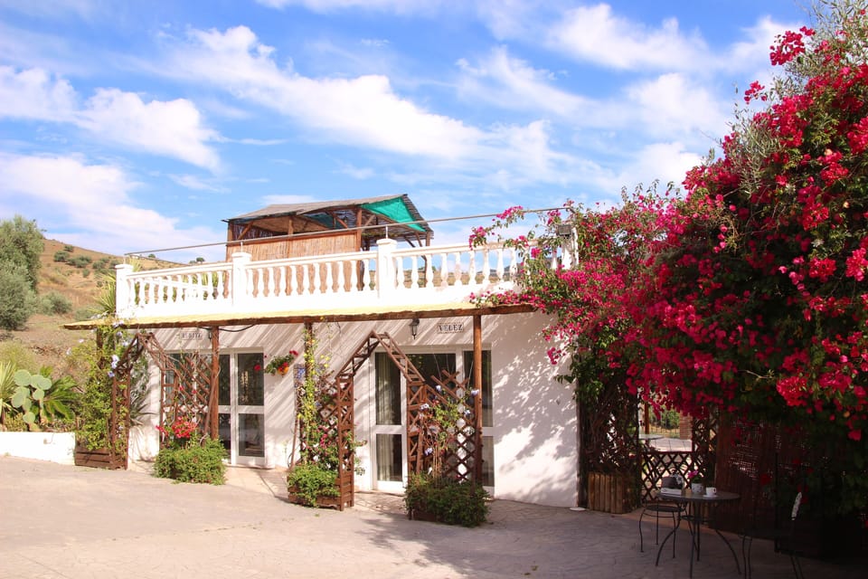 Studio Velez entrance and private patio on the right hand side, private roof ter