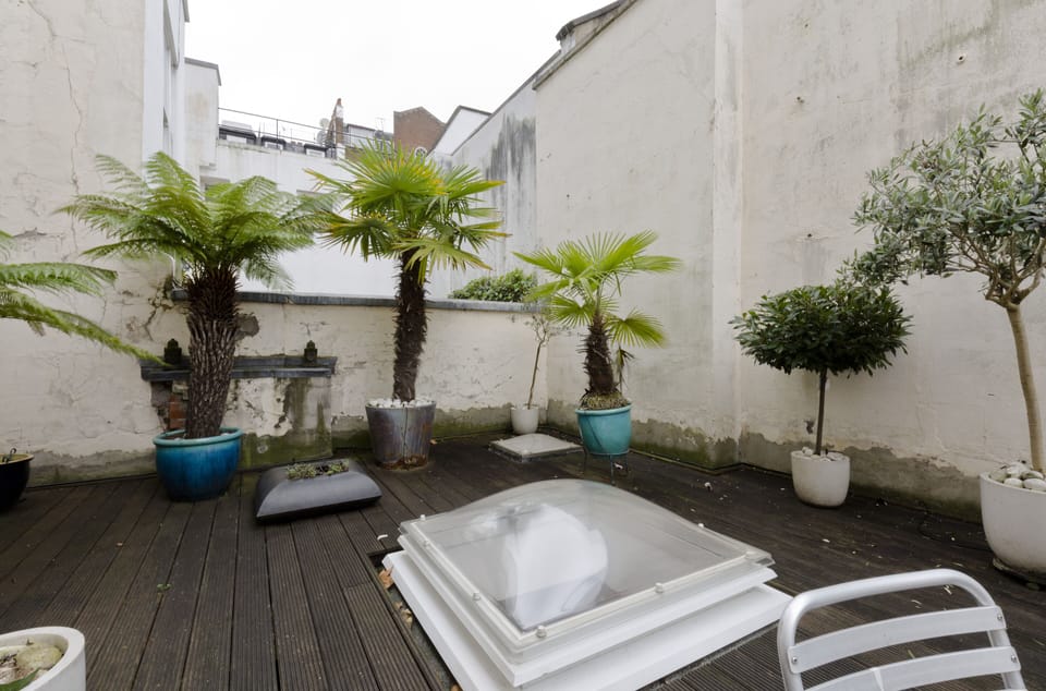 outdoor terrace with plants