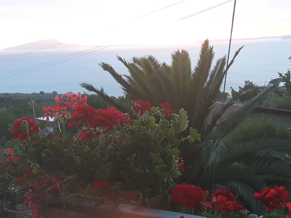 ... From the terrace of the house .