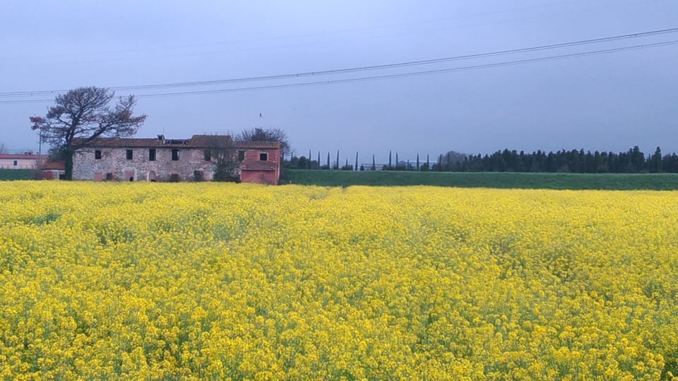 La Valinfiore New Charming Apartment with Pool Apartment in Tuscany