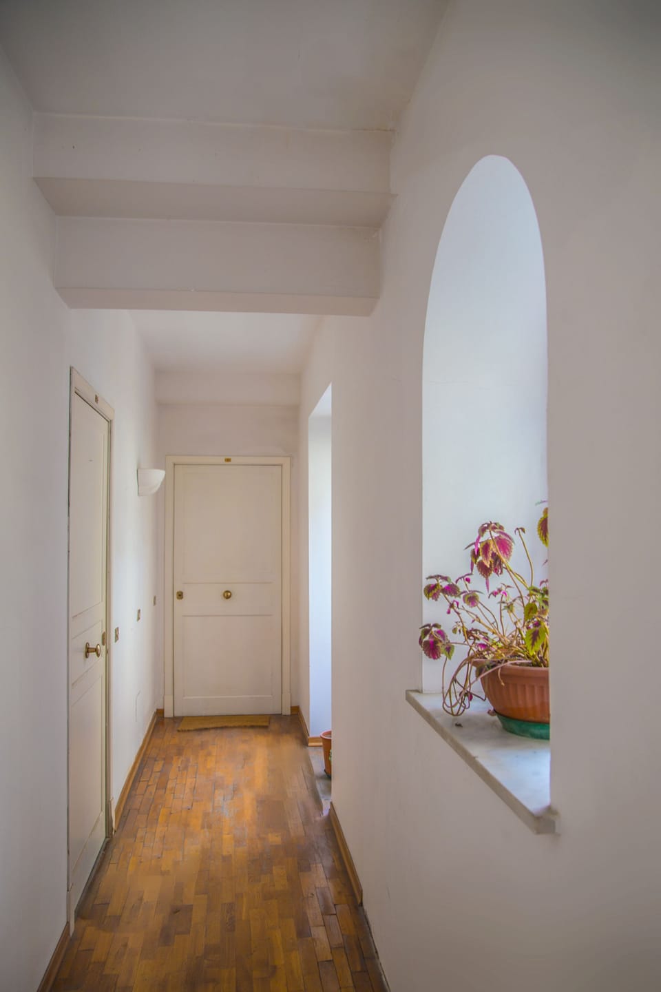 Apartment entrance door