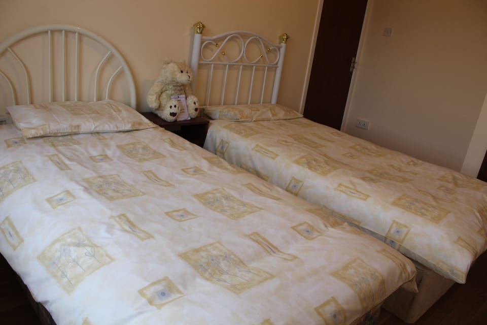 Bedroom No 4 
2 single Beds