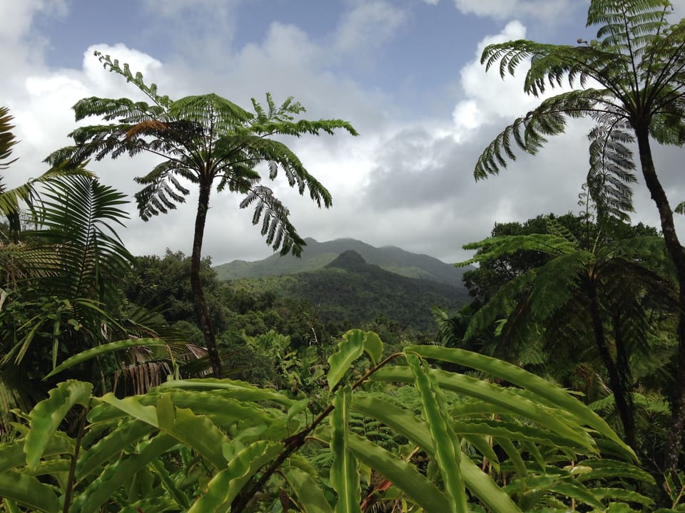 El Yunque National Forest