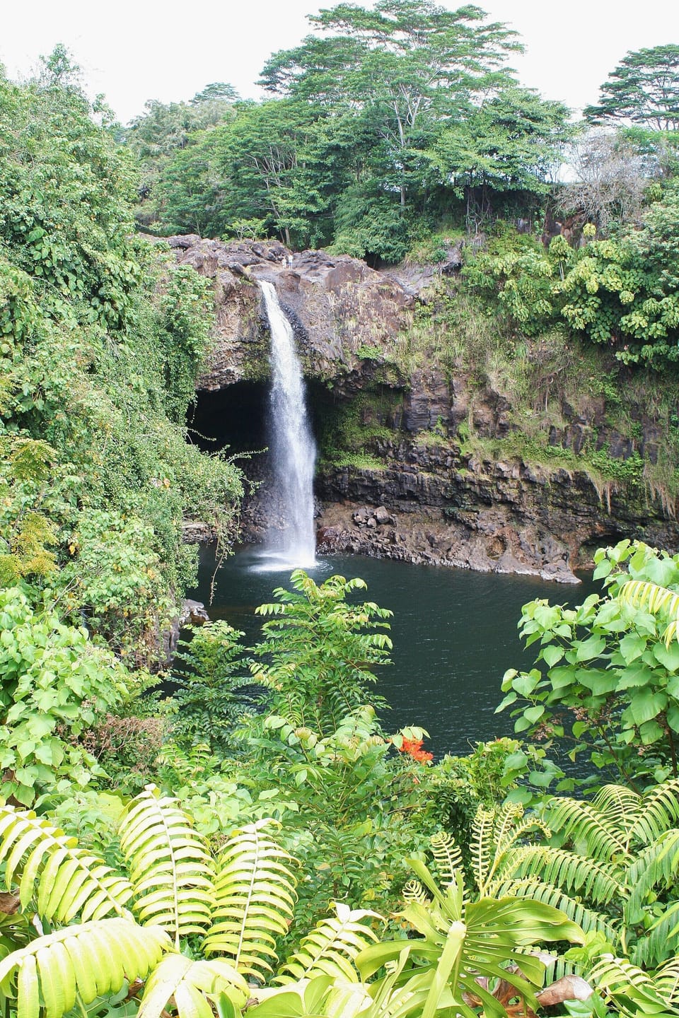 Rainbow Falls in Hilo