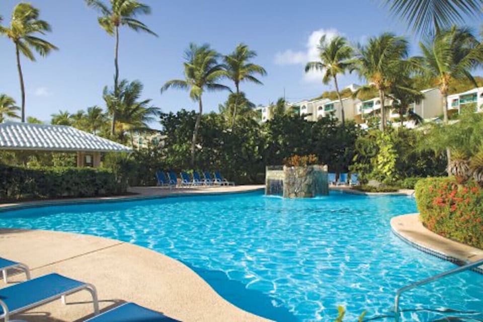 Resort-style pool surrounded by lush tropical landscaping