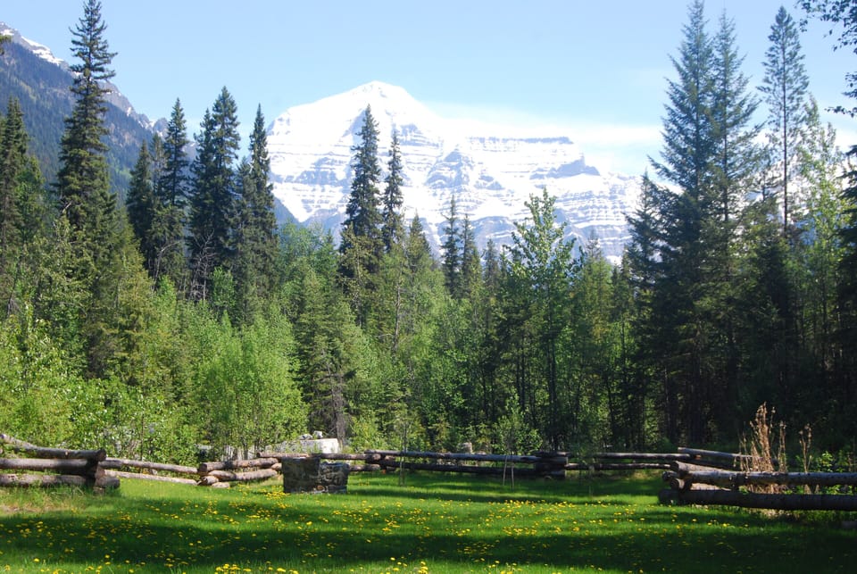 view of Mt. Robson and Swift Current Creek from property