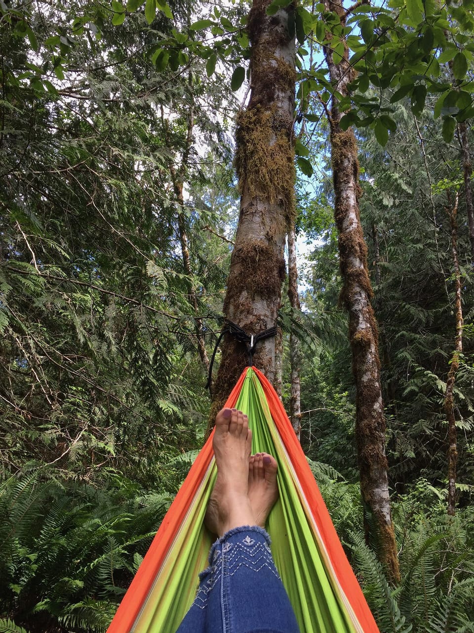 Nothing like a nap in the woods...