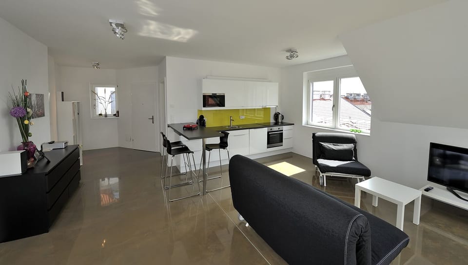 living room / kitchen