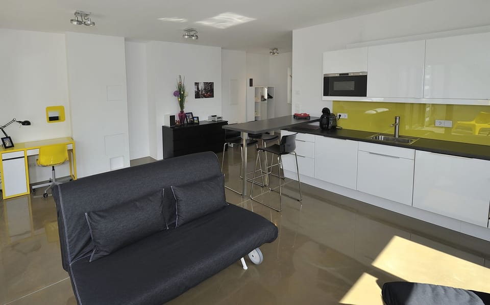 living room / kitchen
