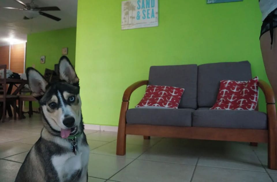 Pet-Friendly! (This is our puppy Chewy btw. :D)