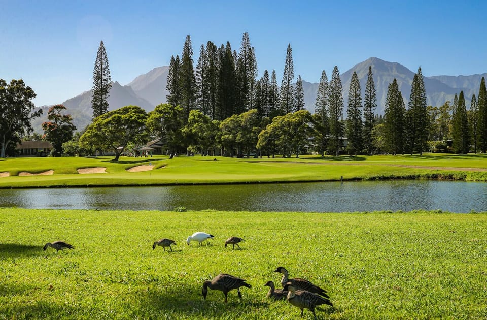 Enjoy mountain views and walk to the golf course 