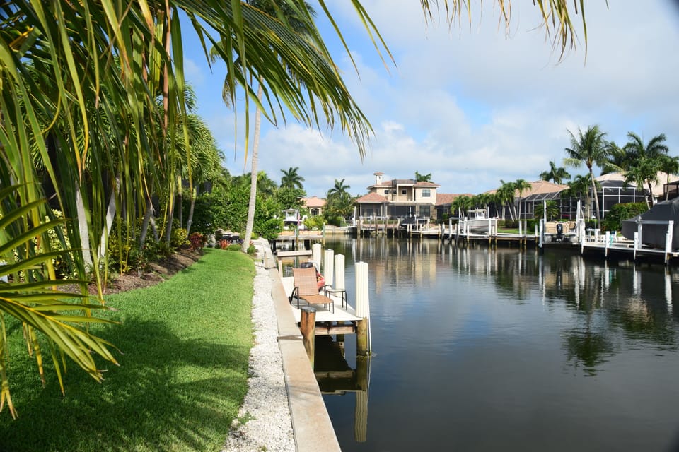 Groomed lawn and planted tropical vegetation that includes a dock and a chair. 