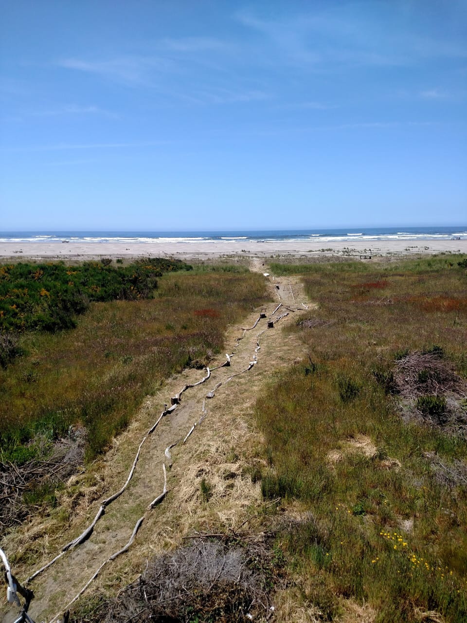 A well defined & gradual trail leads you to Miss Pacific - 