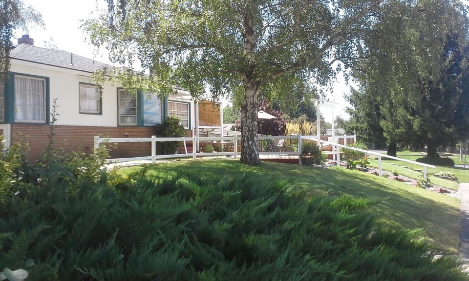 Front yard