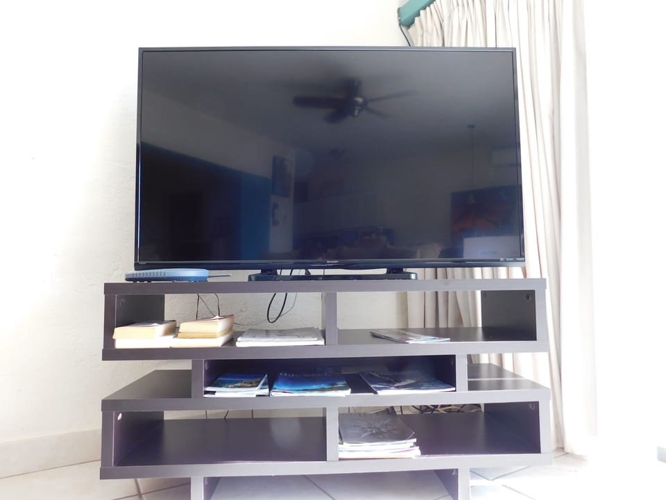 42" Flat Screen TV 