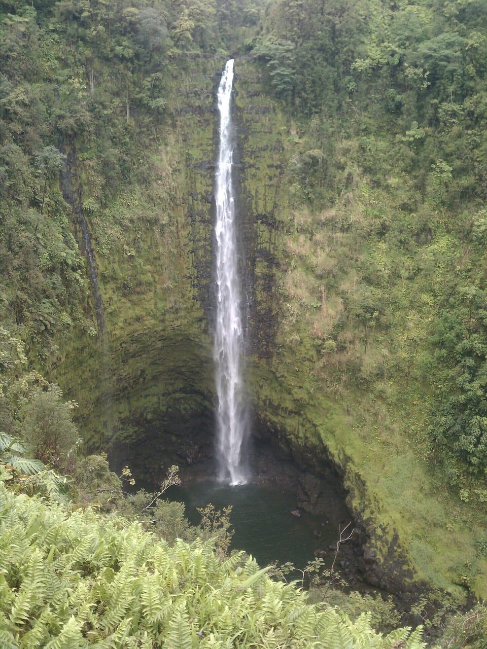 One of the Big Island's fabulous waterfalls, the 442 foot drop of Akaka Falls