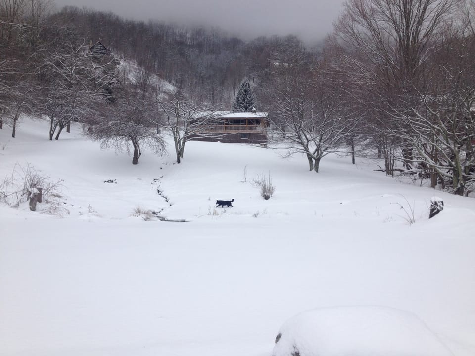 Winter wonderland!
