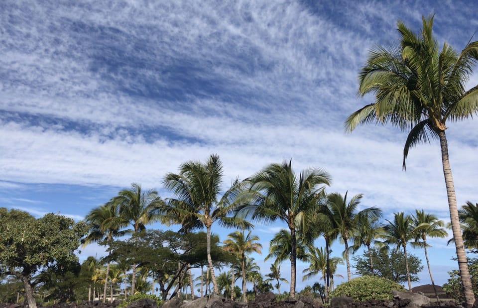 Views around the resort 