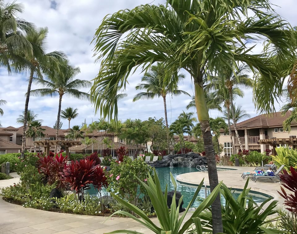 These are the beautiful pools of the resort.  Each has a club house for lounging