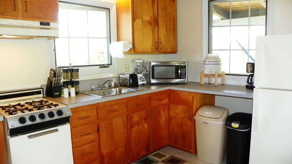 Gas stove, 25 spices, toaster, blender, microwave, water, and coffee maker.