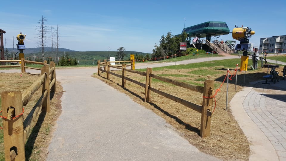 Snowshoe during the summer