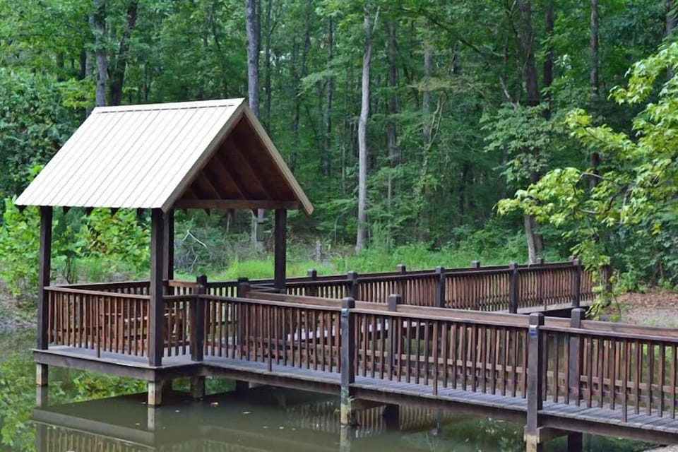 Small Pond behind cabin