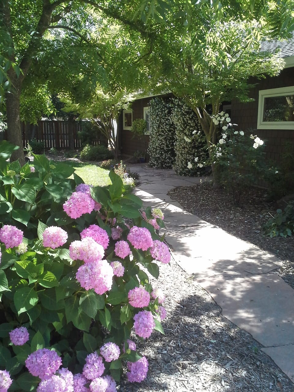 Welcome to the entrance of secluded Casa de Luna, greeted by blooming hydrangeas