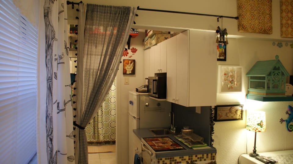 Kitchenette Full size refrigerator2 burner countertop stove toaster oven microwa