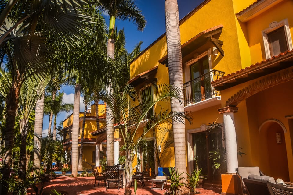Royal palms in tropical garden villa front view