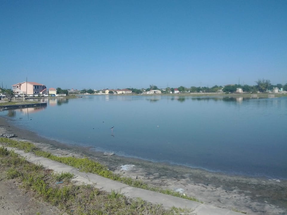 the salina