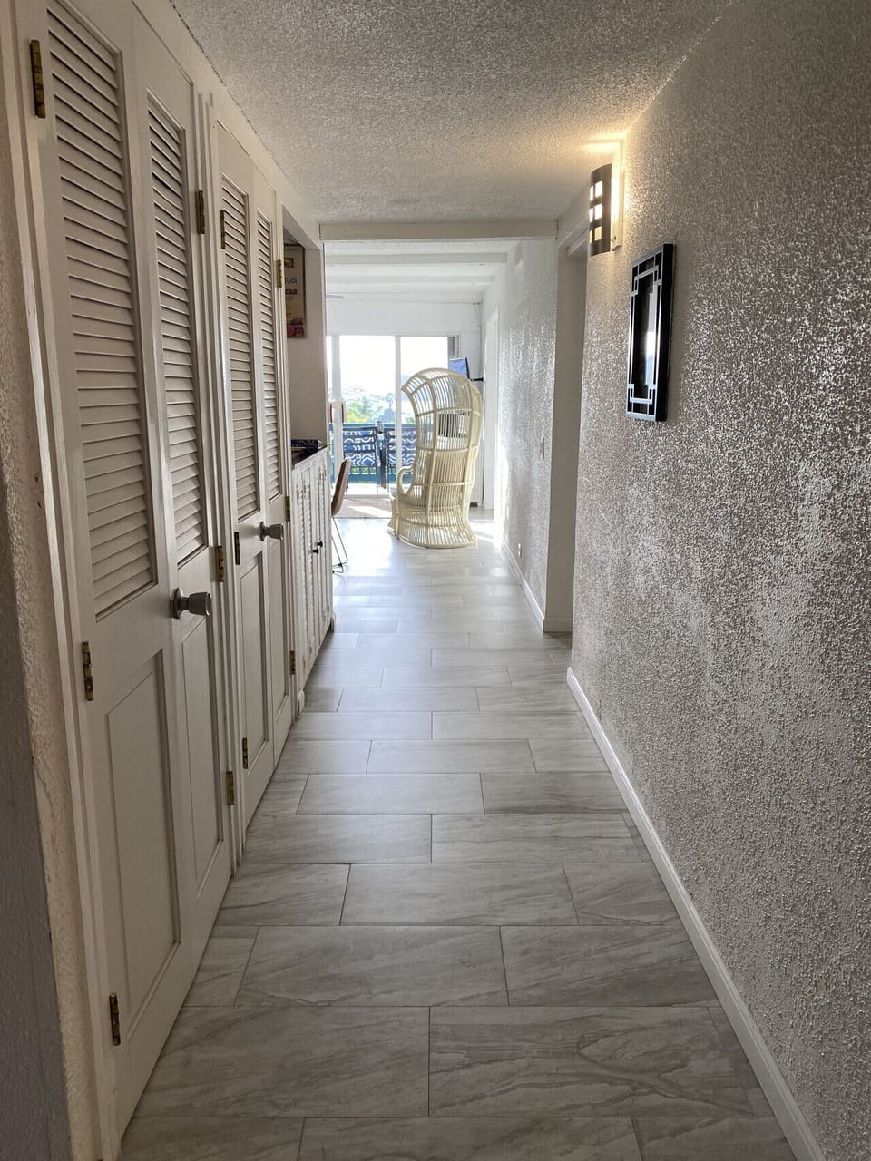 Bright hallway to living area.
