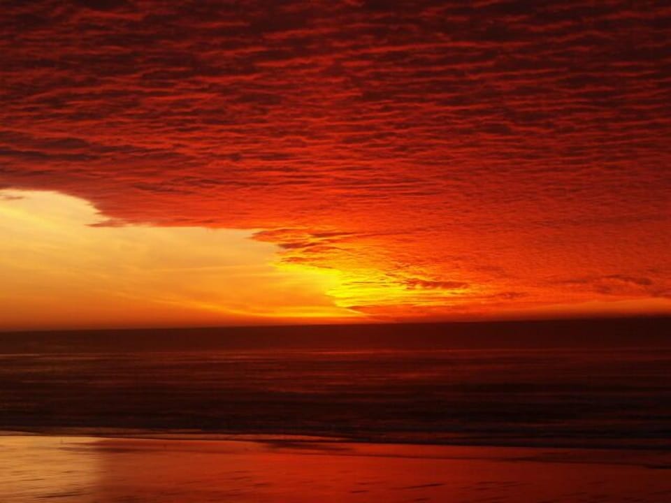 Recent killer sunset