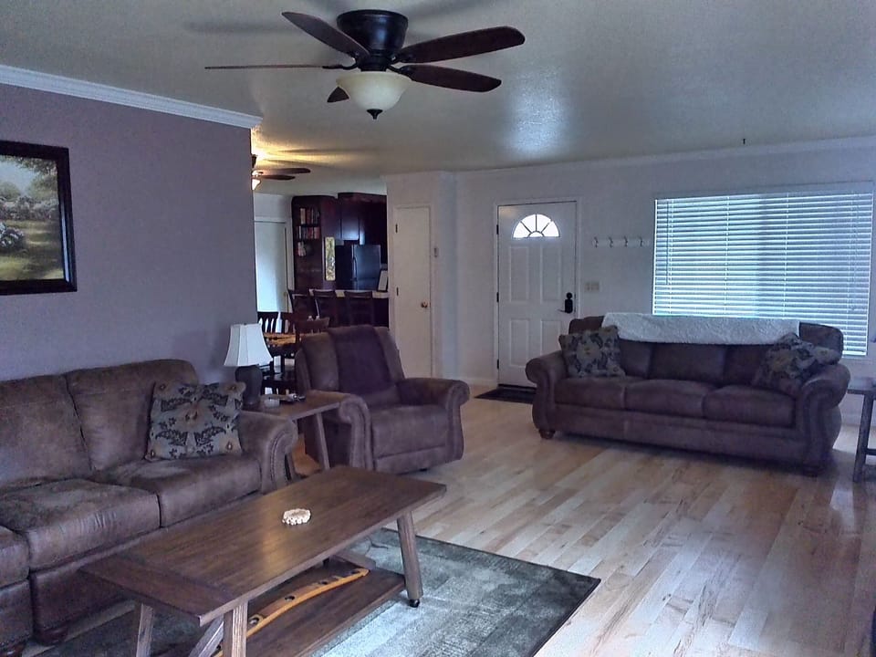 Living room with sofa bed