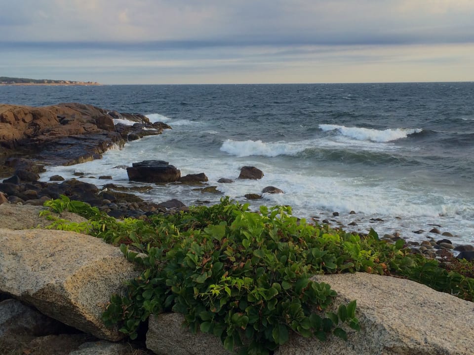 The rocky coast right outside your abode
