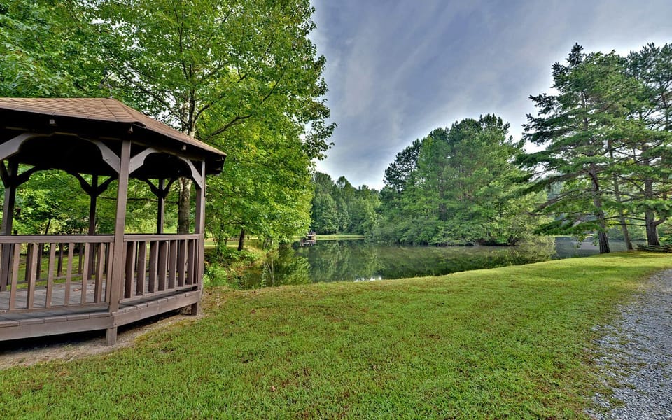 Looking out over the pond.