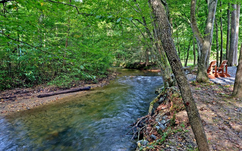 Fightingtown Creek behind the cabin.