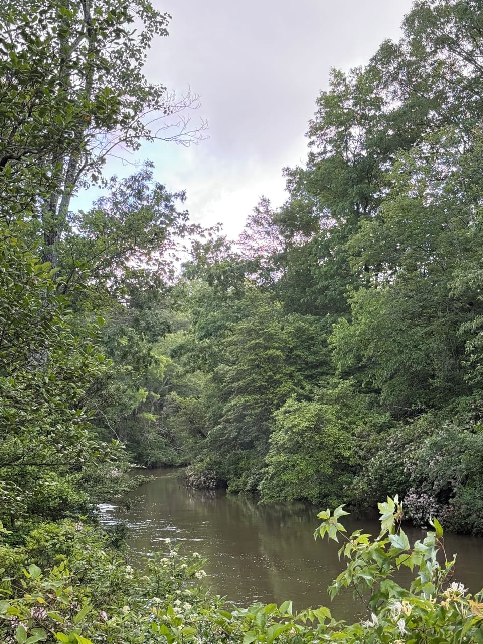 Little River just across the street; 300 ft walk from front door of the home