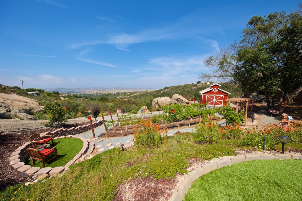 Valley Vineyard View with Private Seating